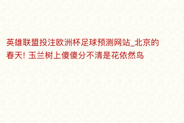 英雄联盟投注欧洲杯足球预测网站_北京的春天! 玉兰树上傻傻分不清是花依然鸟