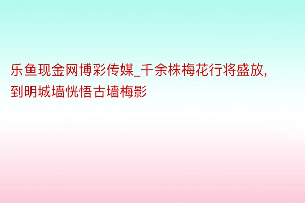 乐鱼现金网博彩传媒_千余株梅花行将盛放, 到明城墙恍悟古墙梅影