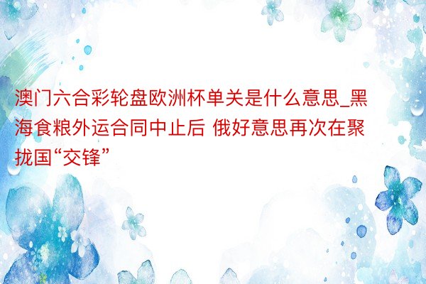 澳门六合彩轮盘欧洲杯单关是什么意思_黑海食粮外运合同中止后 俄好意思再次在聚拢国“交锋”