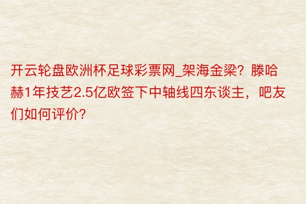 开云轮盘欧洲杯足球彩票网_架海金梁？滕哈赫1年技艺2.5亿欧签下中轴线四东谈主，吧友们如何评价？