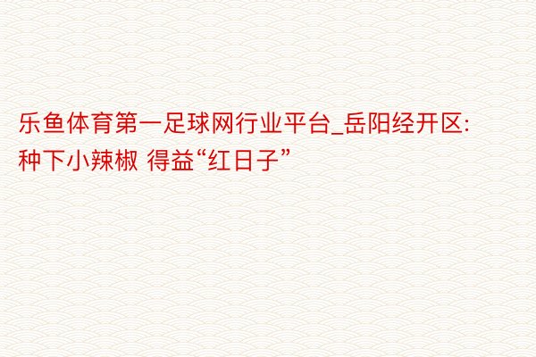 乐鱼体育第一足球网行业平台_岳阳经开区: 种下小辣椒 得益“红日子”