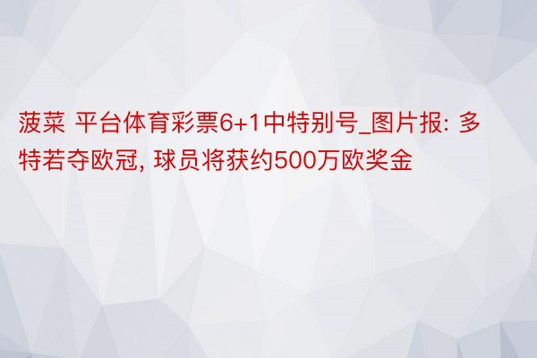 菠菜 平台体育彩票6+1中特别号_图片报: 多特若夺欧冠, 球员将获约500万欧奖金