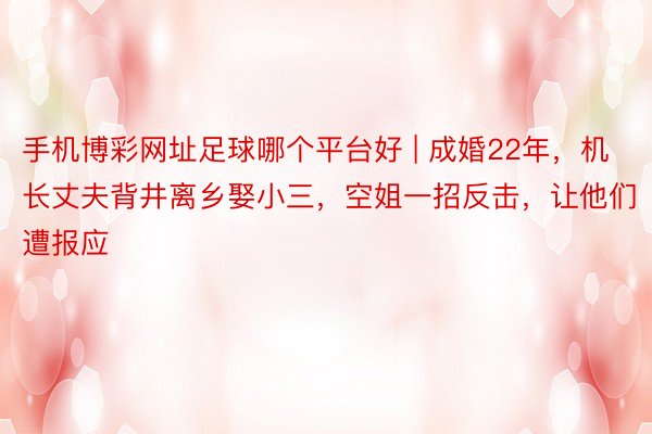 手机博彩网址足球哪个平台好 | 成婚22年，机长丈夫背井离乡娶小三，空姐一招反击，让他们遭报应